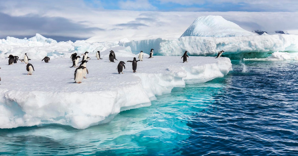 Abrupt Antarctic climate shifts could lead to "catastrophic consequences" for years, study finds