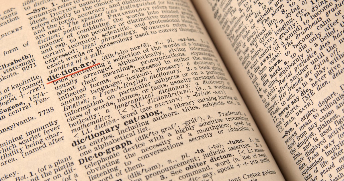 Cambridge Dictionary adds "skibidi," "delulu" and more words