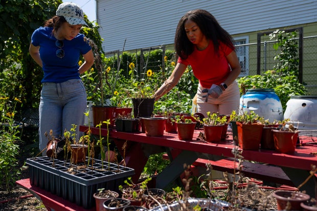 Green spaces crucial to combating record heat in marginalized communities
