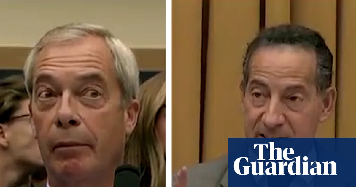 Nigel Farage clashes with Democrat members over free speech – video