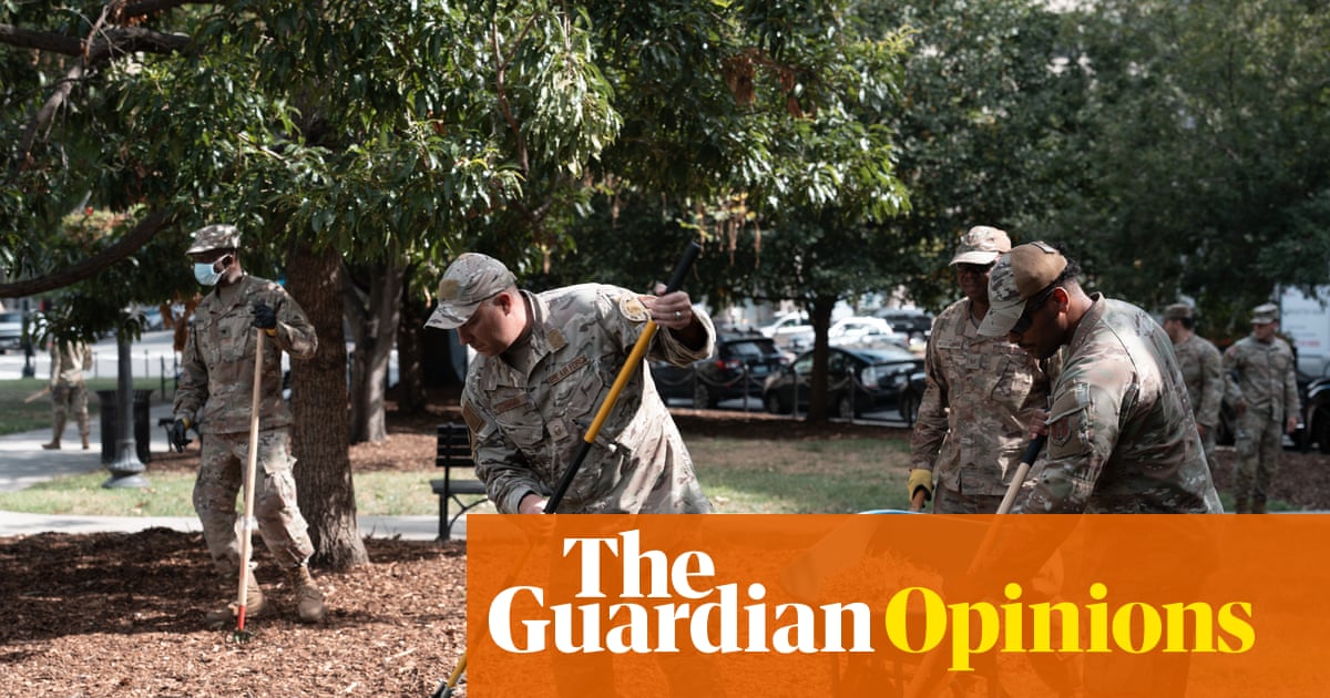 Soldiers are doing landscaping in DC parks. I’m thrilled for them | Dave Schilling