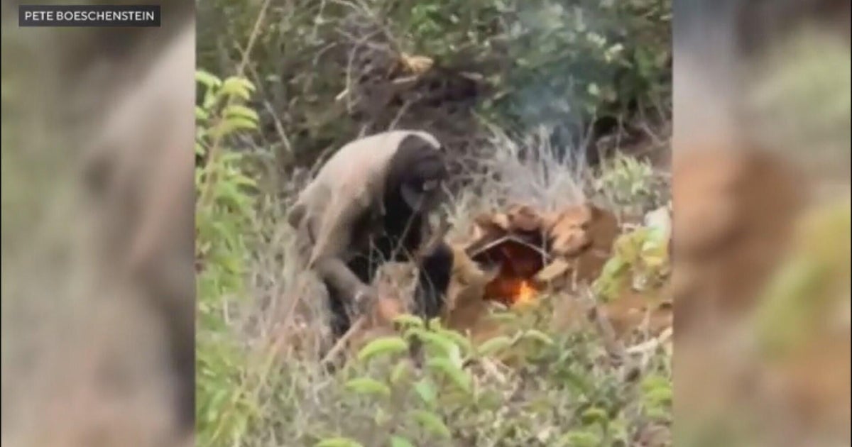 KCAL Uncovers Records Showing Dangerous Spike in Homeless Fires