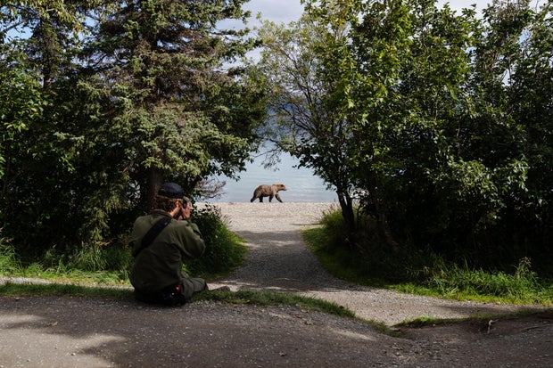 Meet the 2025 Fat Bear Week contenders