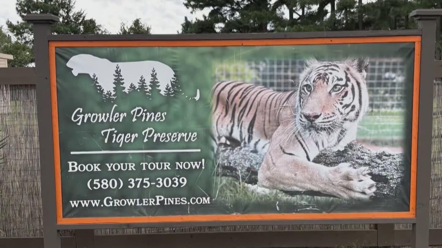 Tiger kills animal handler at wildlife preserve in Oklahoma