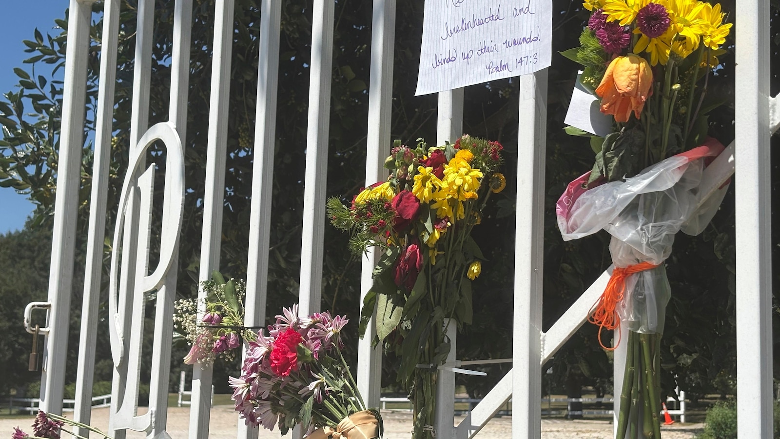 Killing of former Auburn professor at city park shakes community