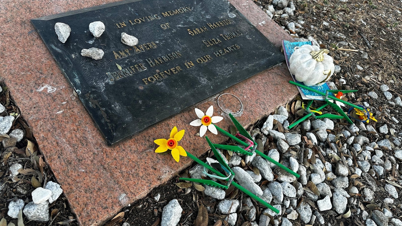 What to know about the new suspect identified in Texas’ infamous yogurt shop killings