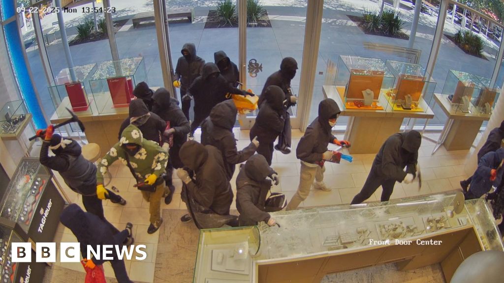 Watch: Moment thieves ransack California jewellery store
