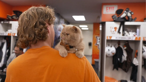 Bowling Green's unlikely new football mascot is attracting a legion of fans