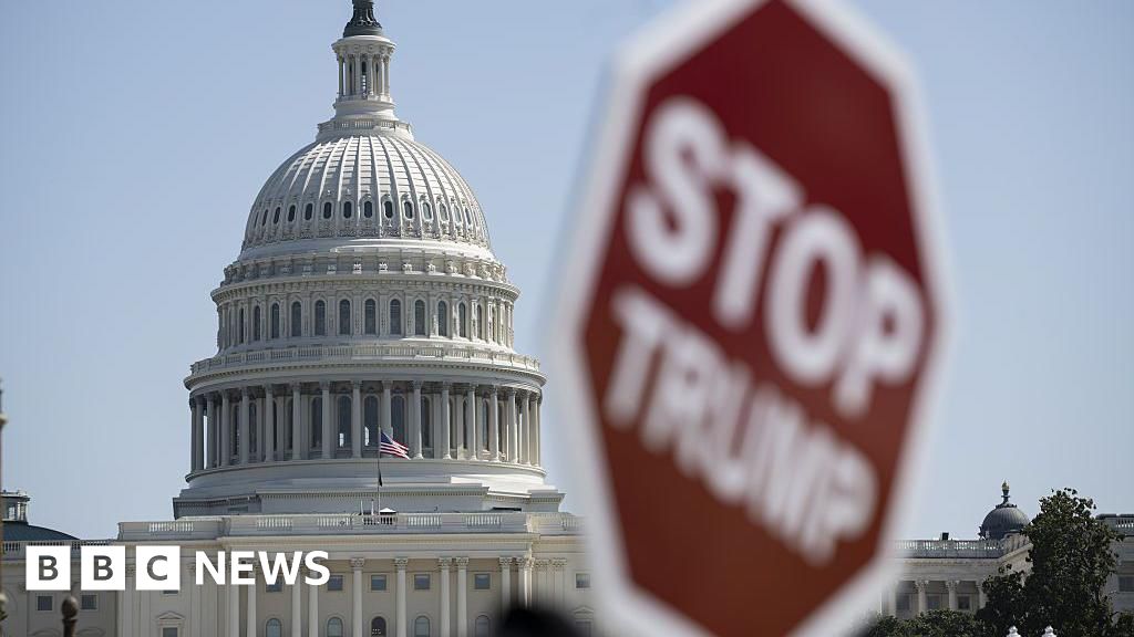 Why has the US government shut down and what does it mean?