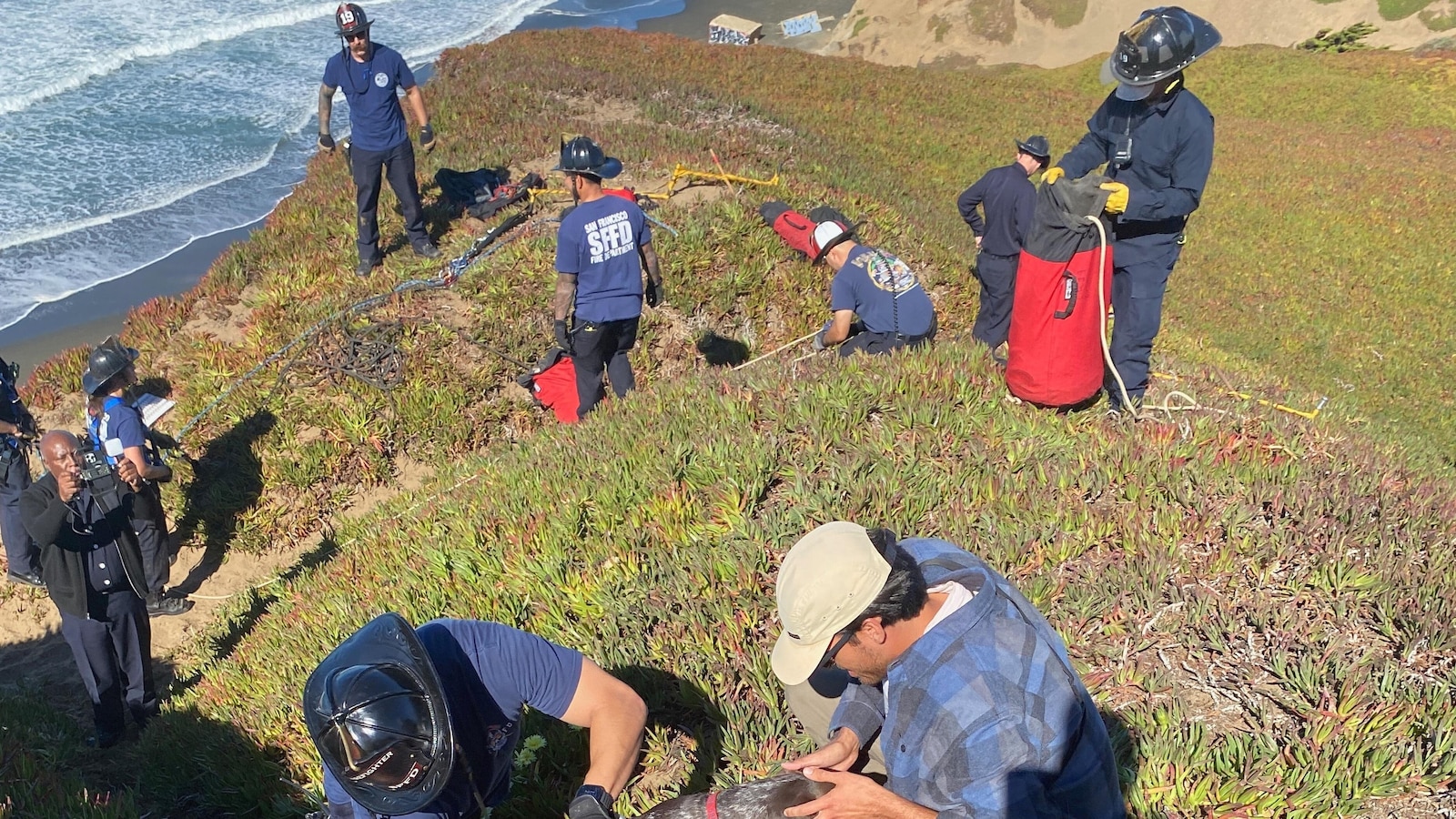 A San Francisco dog kisses rescuers after it’s plucked from the side of a cliff