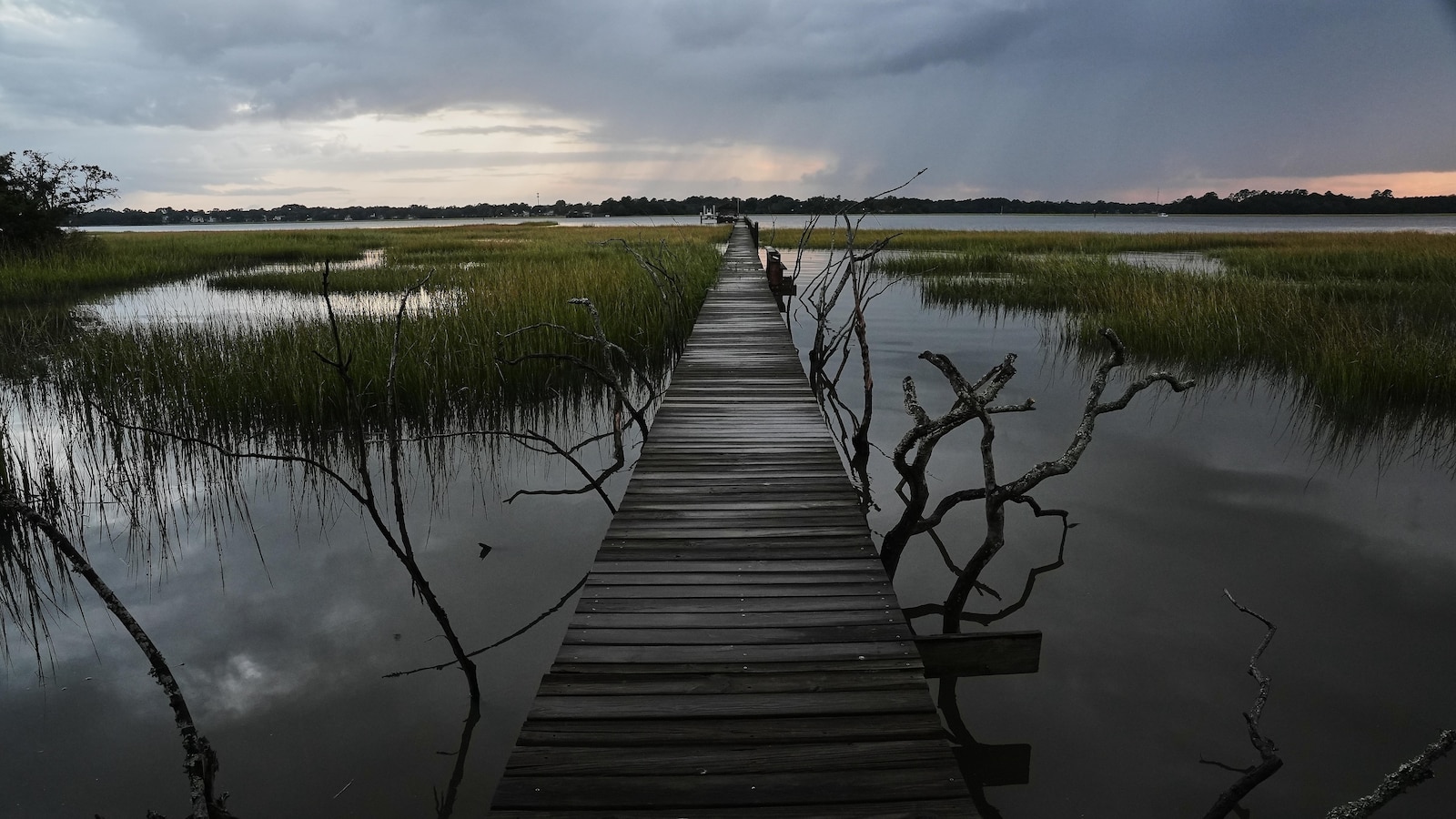 EPA moves to limit scope of clean water law to reduce amount of wetlands it covers
