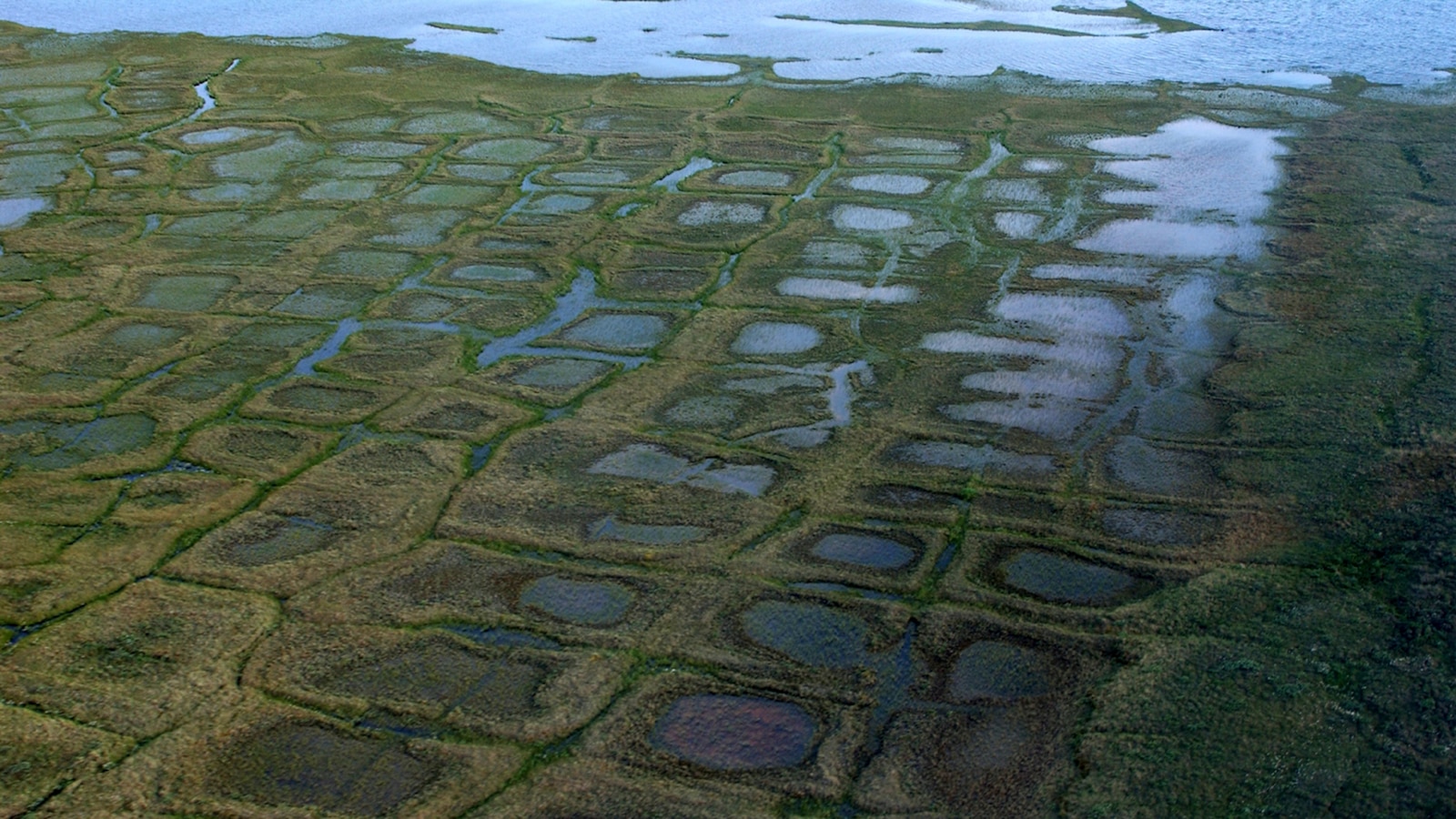 Congress approves measure to overturn Biden-era management plan for Alaska petroleum reserve