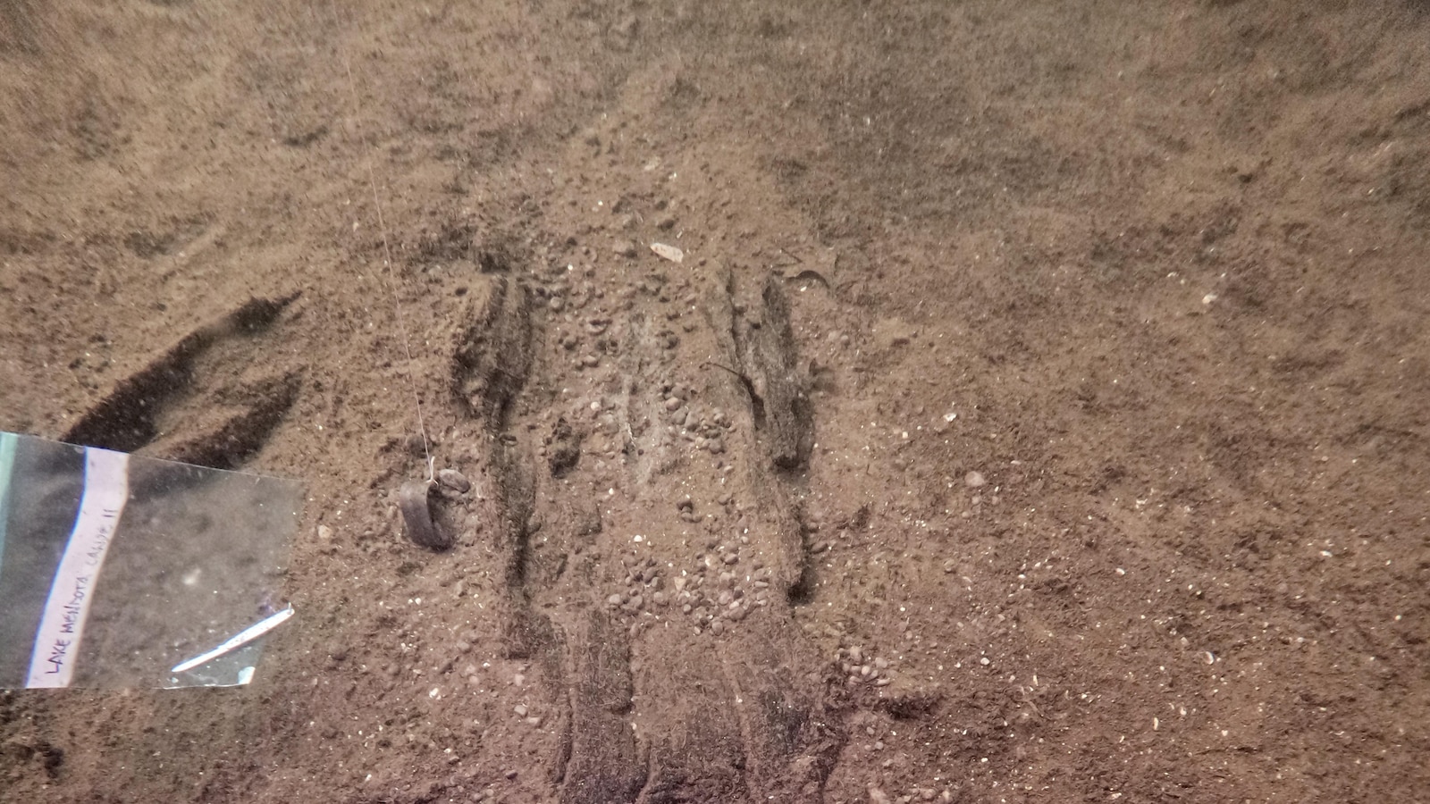 Wisconsin archaeologists identify 16 ancient canoes in a prehistoric lake ‘parking lot’