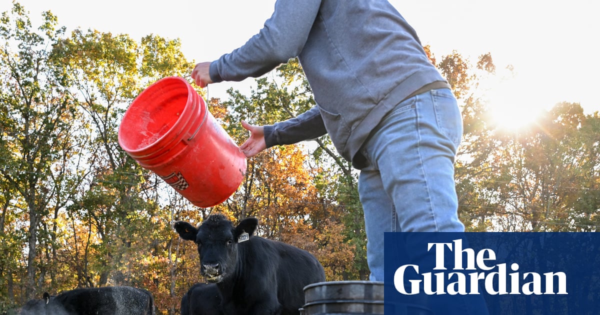 US farmers say Trump’s $12bn package not enough to undo damage from tariffs