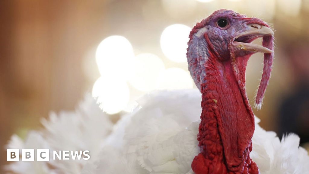 Watch: President Trump pardons Thanksgiving turkey