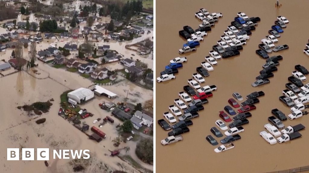 Drone footage shows extent of flooding in Washington state