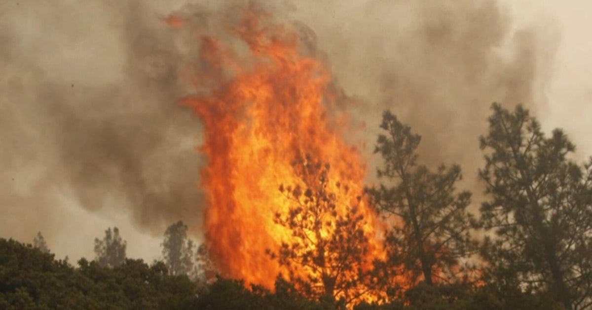 Climate disaster database backed by nonprofit after Trump administration shuts it down