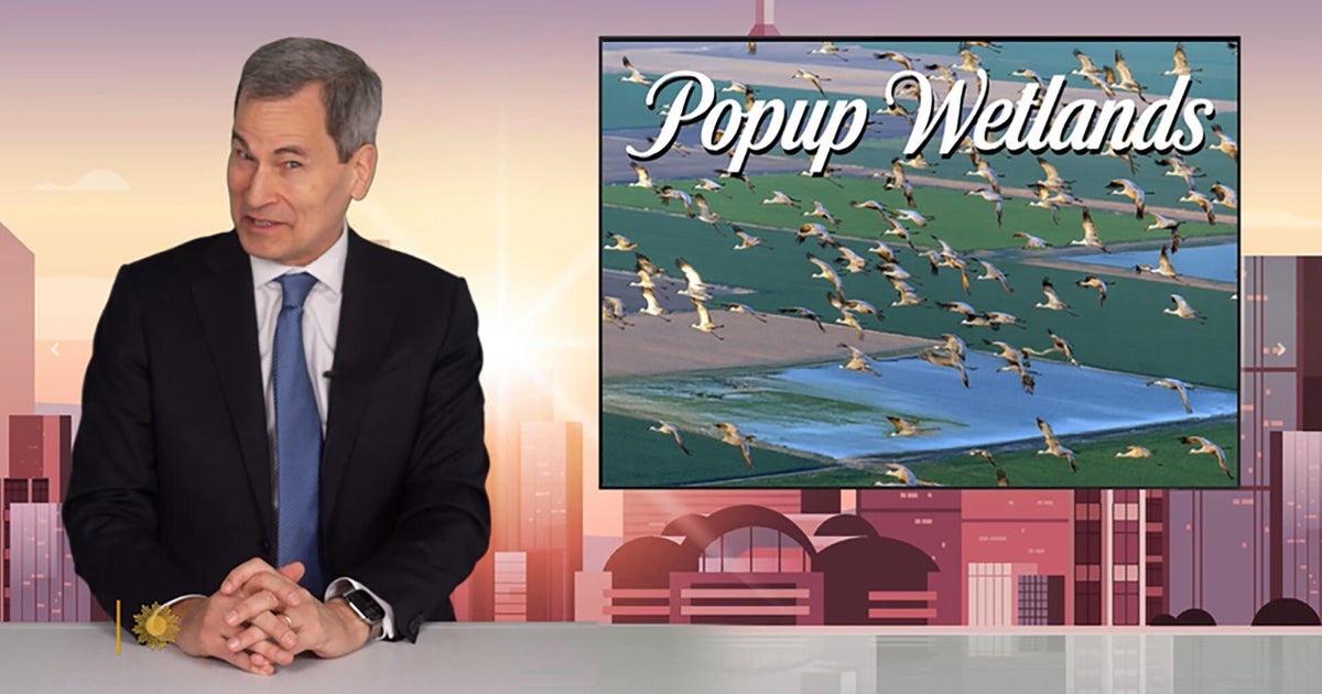 Good news you may have missed in 2025