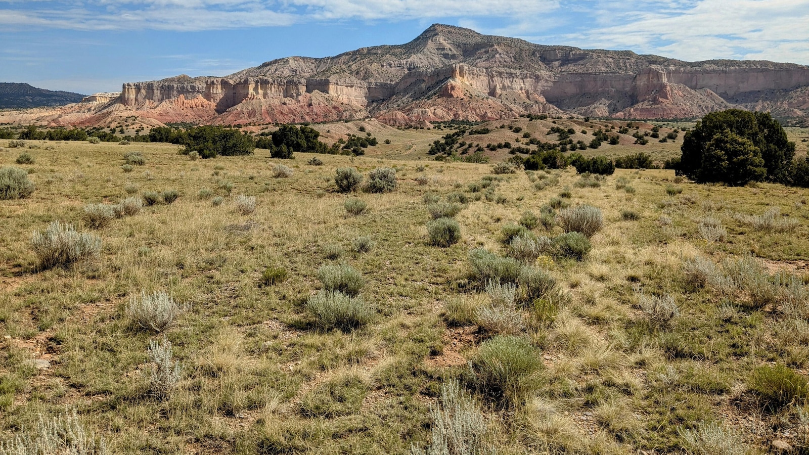 Georgia O’Keeffe’s views of the New Mexico desert will be preserved with conservation plan