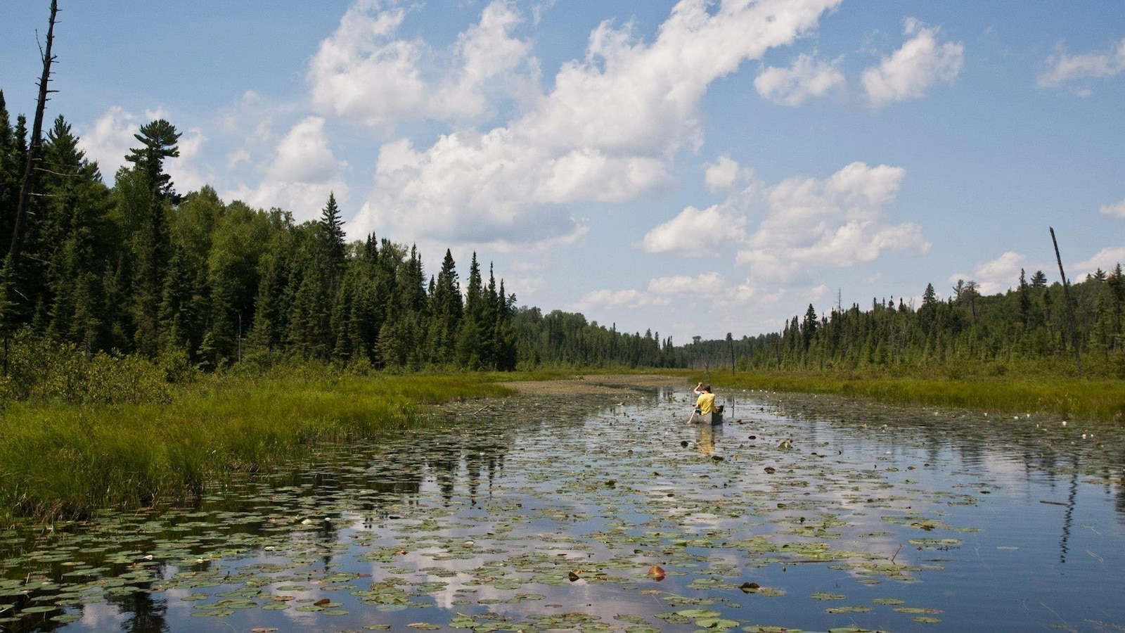 House Republicans vote to lift 20-year ban on mining near pristine Boundary Waters Canoe Area