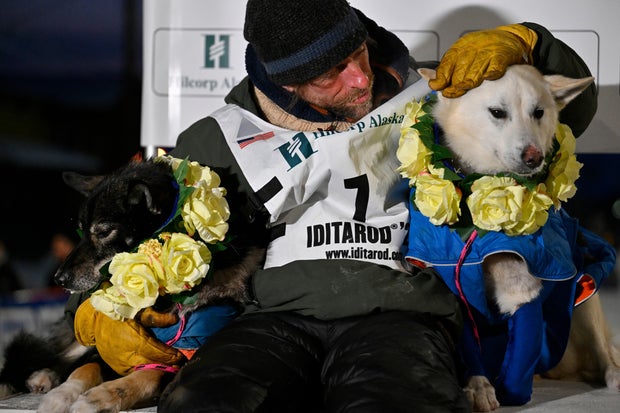 Former reality TV star wins Iditarod, rewards sled dogs with steaks
