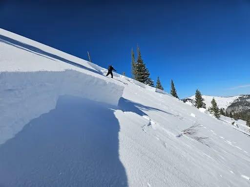Skier killed in avalanche in Boss Basin