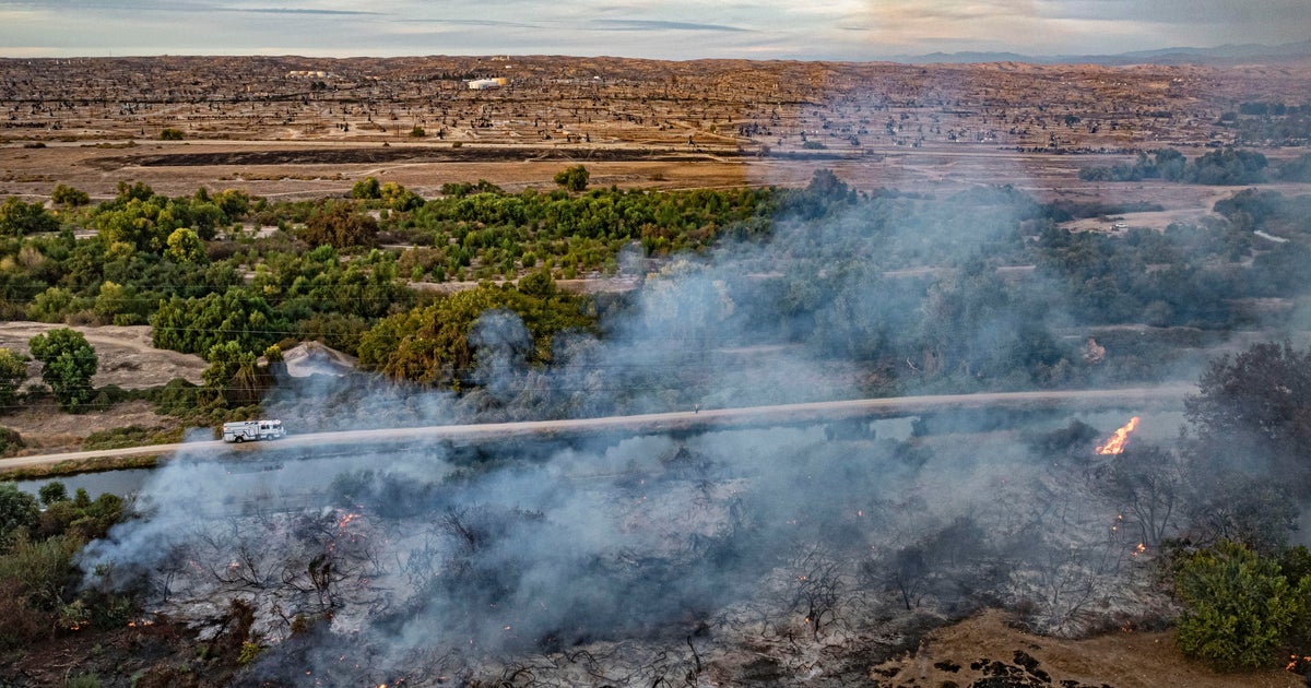 Almost half of U.S. exposed to unhealthy levels of air pollution: Report