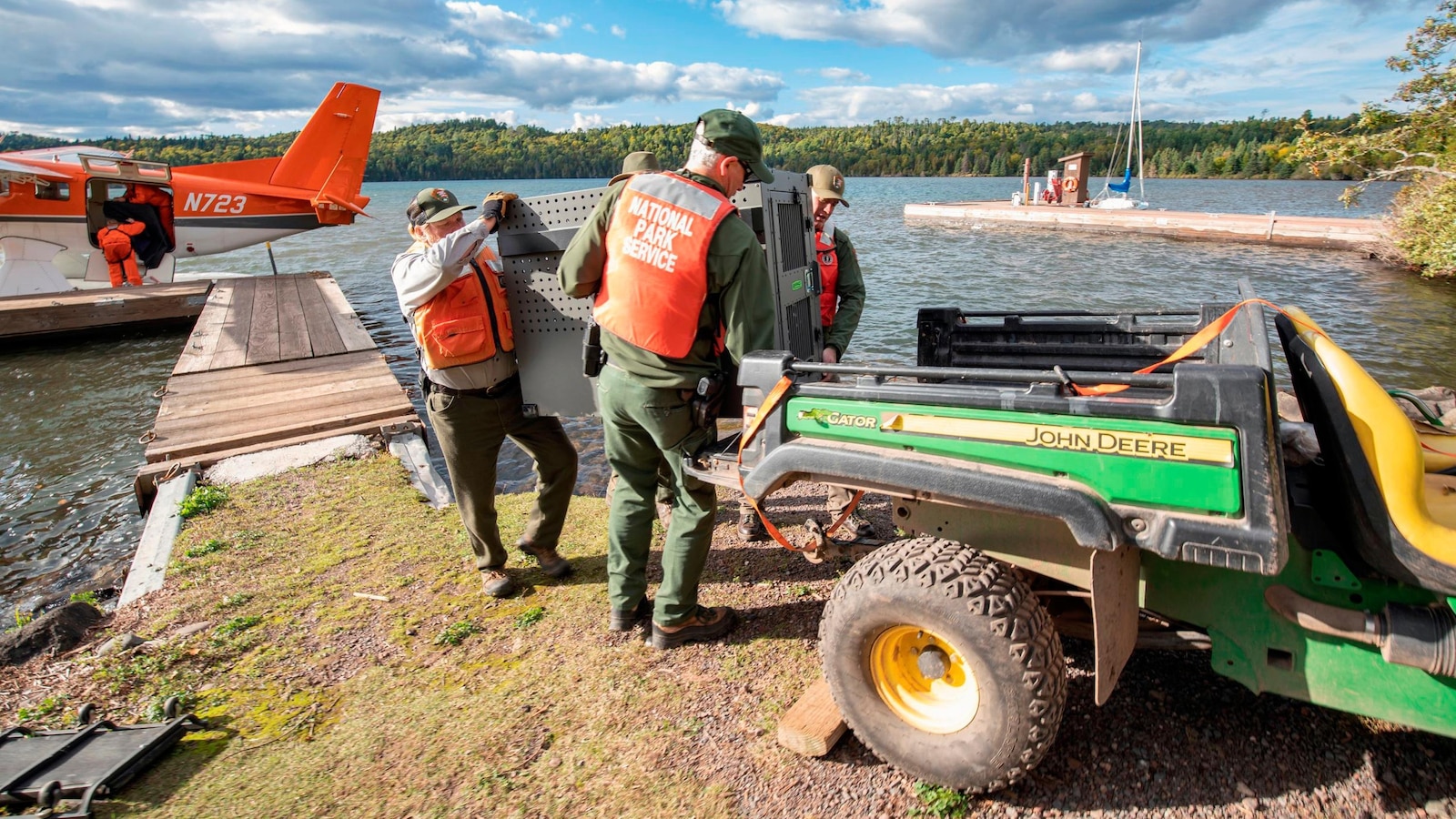 Researchers say Lake Superior island’s wolves are thriving as packs prey on moose