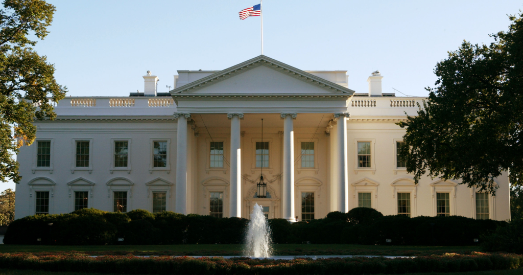 What We Call The President