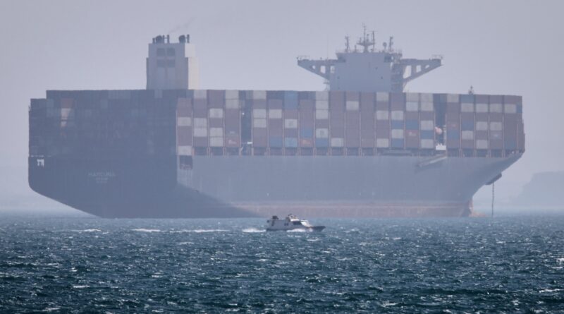 Shipping firms are being whipsawed by changing stances and risks as they wait for Hormuz to reopen
