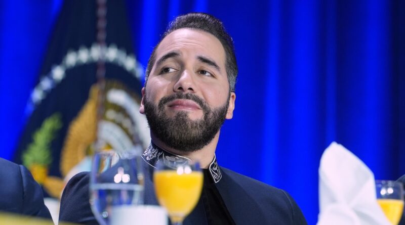US deportations to El Salvador double as Bukele aligns himself with Trump agenda