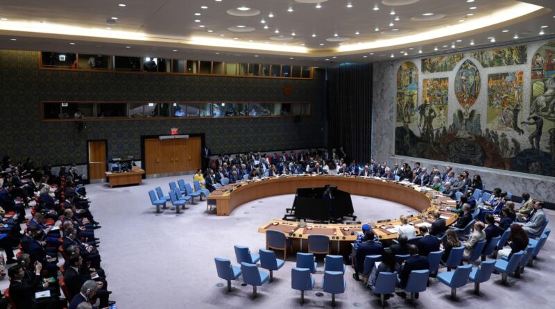 UN adopts resolution to ensure perpetrators of crimes against peacekeepers face justice