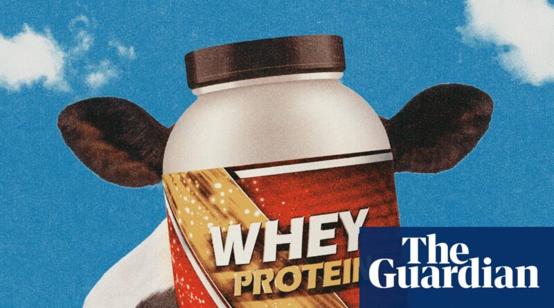 All the whey up! How a dairy byproduct became the star of the ‘proteinmaxxing’ boom