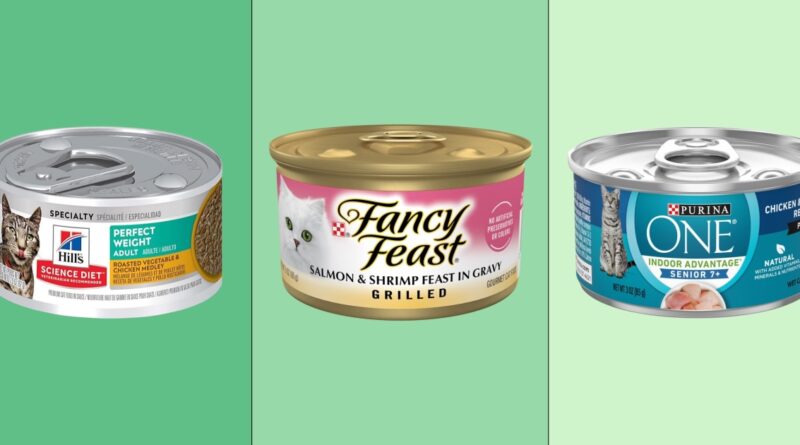 Is wet cat food better than dry? We asked vets